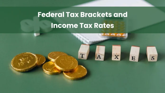 Federal-Tax-bracket-2024