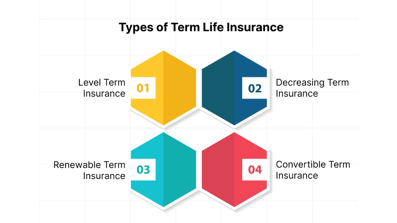 Types of Term Life Insurance